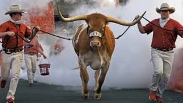 bevo